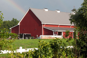 Farm to Table Fundraiser