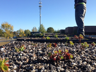 Galloway Township Green Roof Provides Living, Breathing Model of Sustainability (Atlantic County)