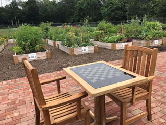 Food, Flowers and Inspiration Grow at Verona Community Garden (Essex County)