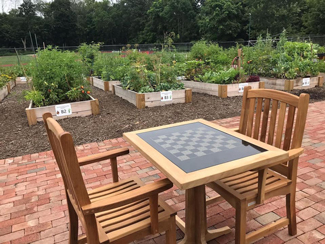 Community Garden Success Stories