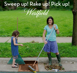 Westfield's Adopt-a-Drain Program a First in NJ (Union County)